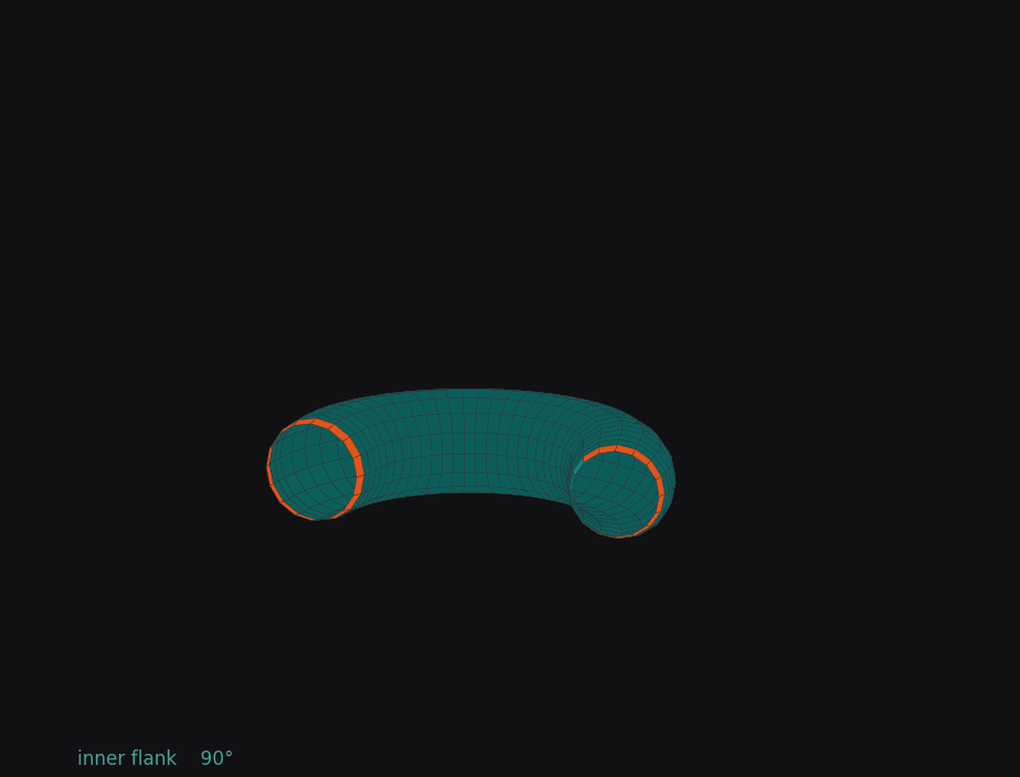 Animated 3D rendering of a simulated apical hook opening over twelve hours. Cells are coloured by the angle between the predicted microtubule axis and the local organ axis: teal for circumferential, orange for longitudinal. The organ straightens and a band on the outer flank turns from teal to orange partway through.