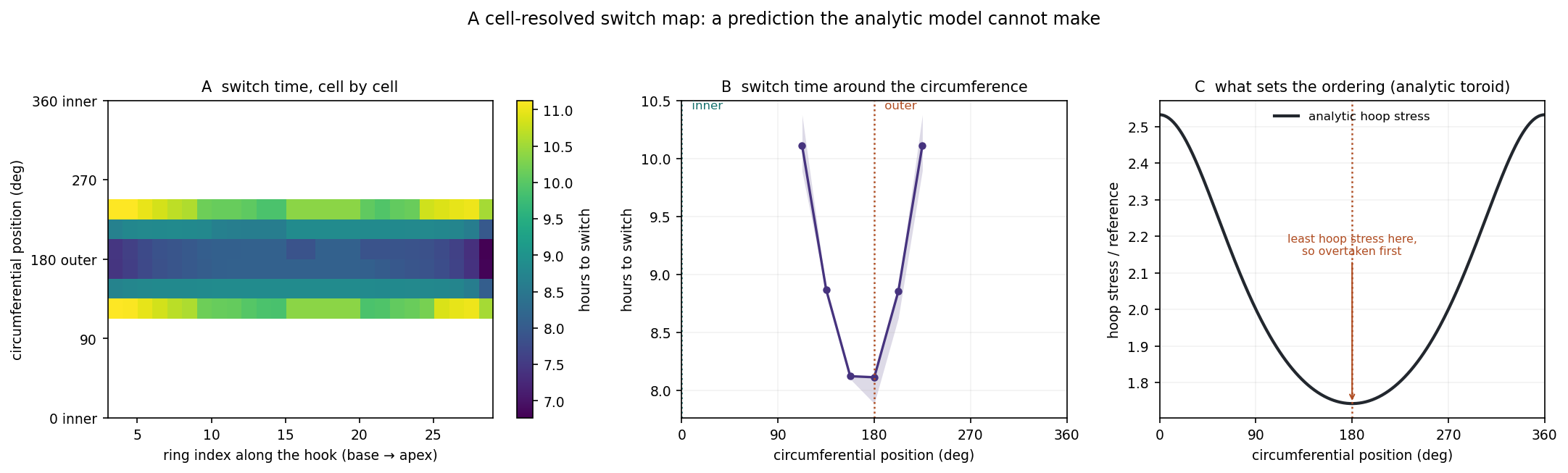 Three panels. Left: a heat map of switch time over the hook surface, with ring index along the hook on the x axis and circumferential position on the y axis, showing a band centred on the outer midline switching earliest. Middle: switch time against circumferential position, a V shape with its minimum at the outer flank. Right: the analytic hoop stress curve, whose minimum coincides with the earliest switch.